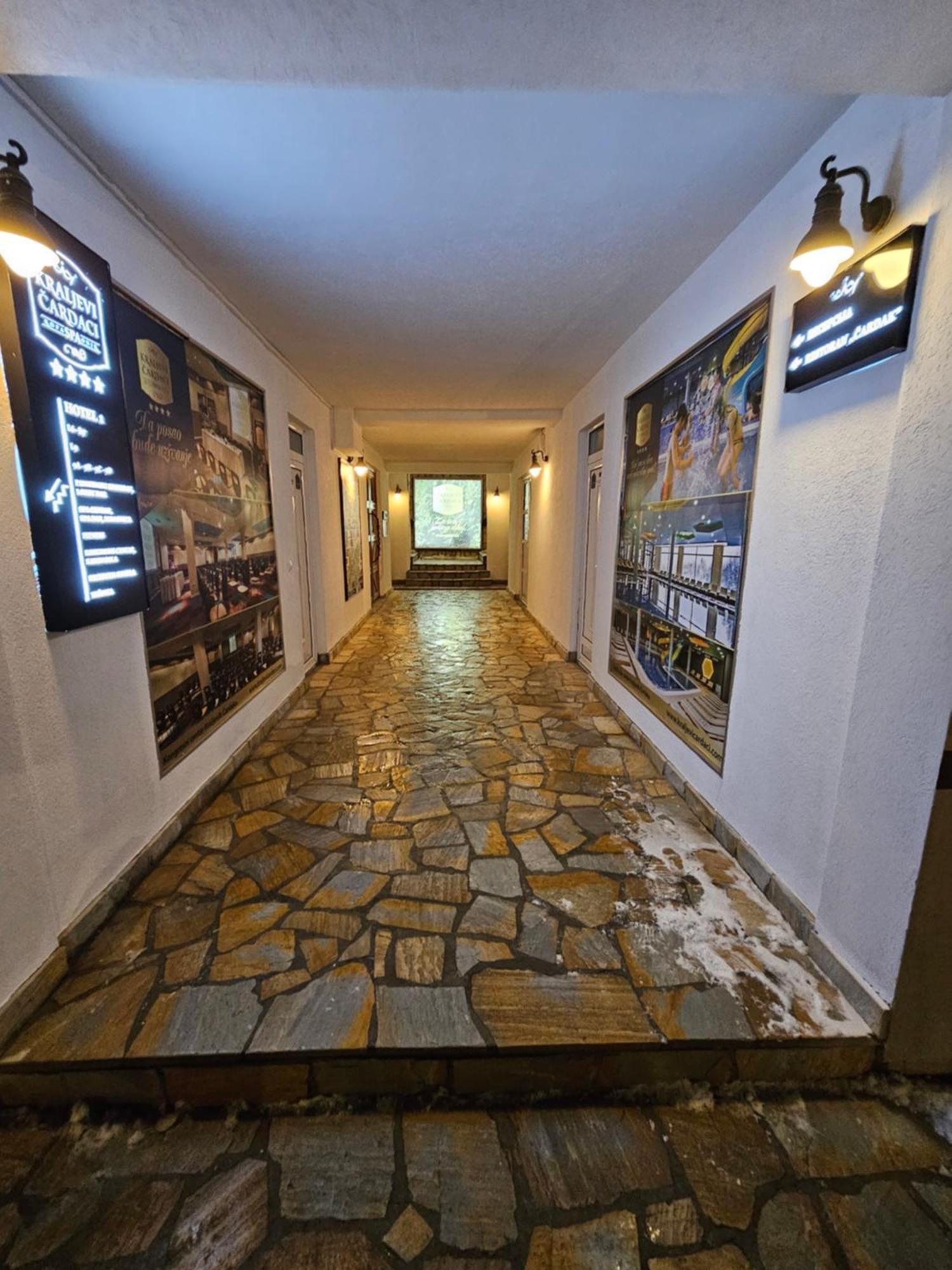 Apartament Ebra Kraljevi Cardaci Kopaonik Zewnętrze zdjęcie